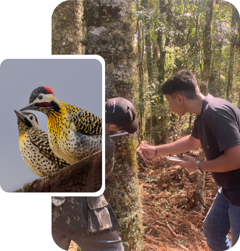 Andrei Klohs – Técnico em Meio Ambiente - Consultor Ambiental em Igrejinha