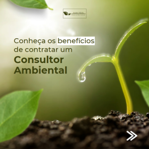 Benefícios da consultoria ambiental
